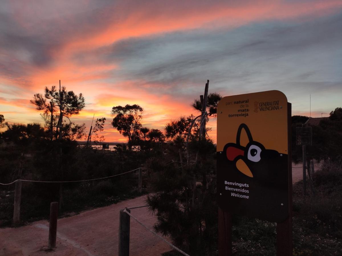 Apartamento Torre Zeus, La Mata, Τορεβιέχα Εξωτερικό φωτογραφία