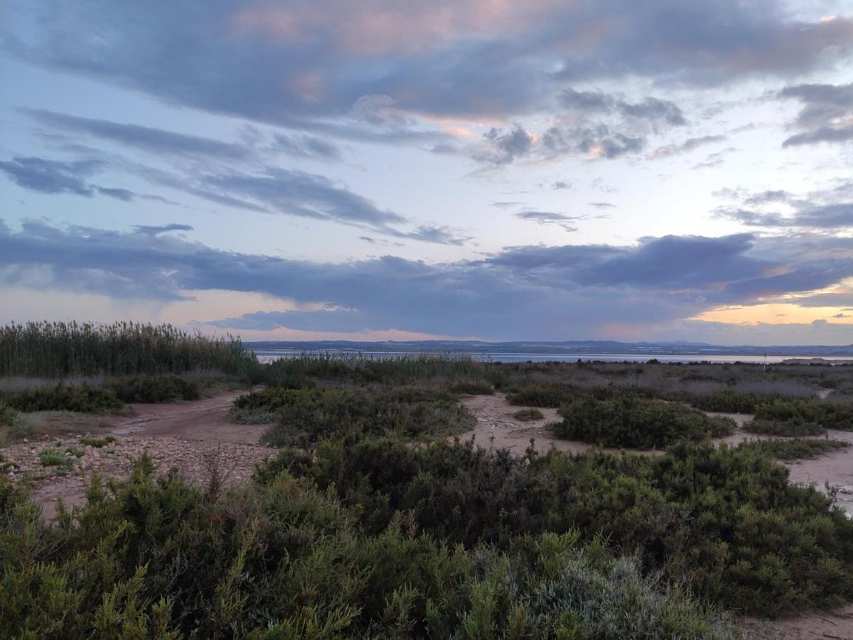 Apartamento Torre Zeus, La Mata, Τορεβιέχα Εξωτερικό φωτογραφία